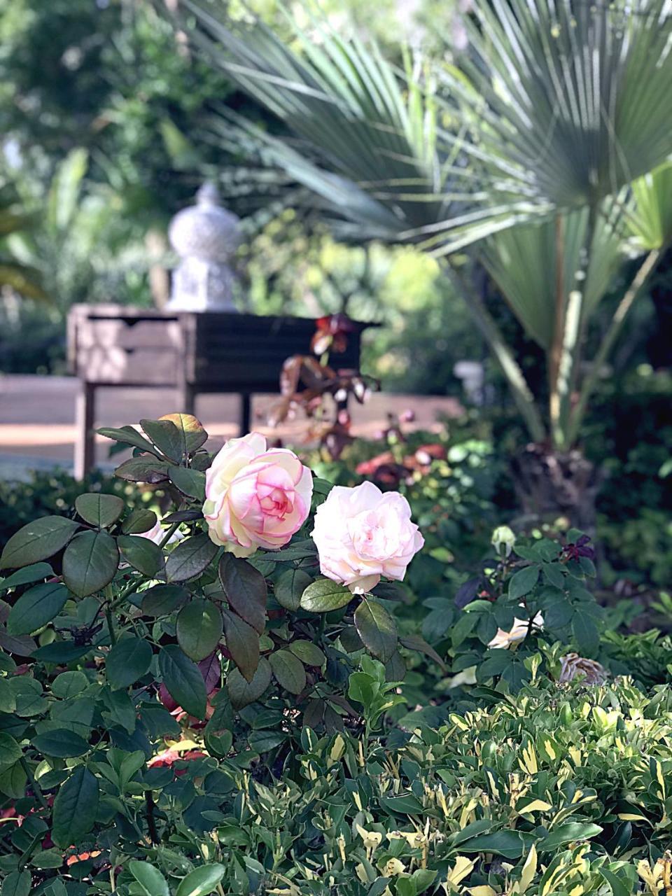 Villa Marrone - Relais - Marsala Dış mekan fotoğraf