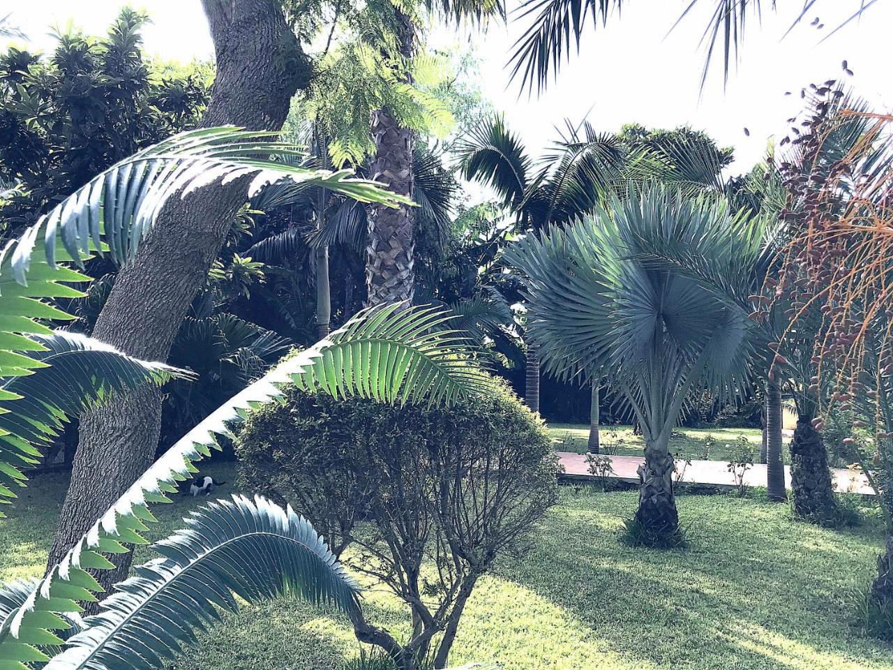 Villa Marrone - Relais - Marsala Dış mekan fotoğraf